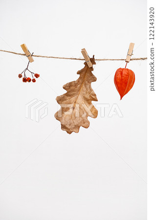 Garland made of autumn leaf and natural elements. 122143920