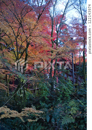 Autumn leaves at Nanzen-ji Temple, Kyoto Autumn leaves at Nanzen-ji Temple, Kyoto 122143974