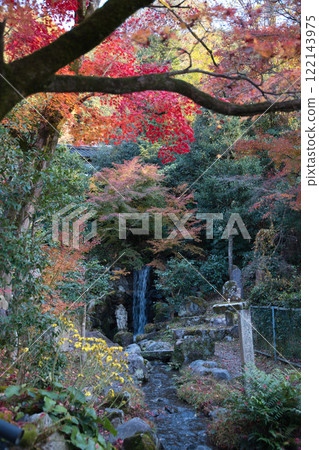 Autumn leaves at Nanzen-ji Temple, Kyoto 122143975