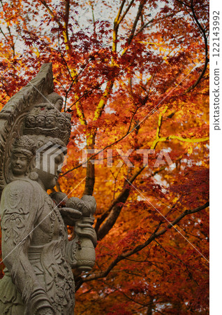 Autumn leaves at Nanzen-ji Temple, Kyoto 122143992