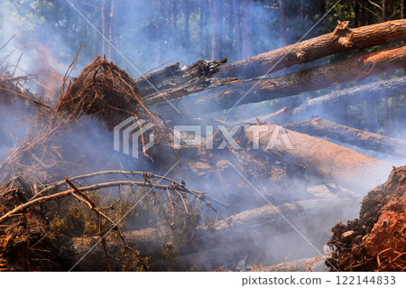 Smoldering logs create hazy atmosphere in forest clearing, following wildfire that has devastated landscape. Smoldering logs create hazy atmosphere in forest clearing, following wildfire that has devastated landscape. 122144833