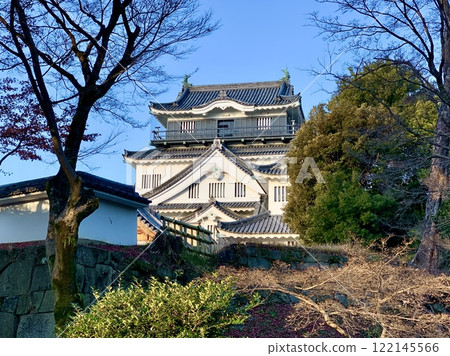 View of Okazaki Castle against the blue winter sky across the Seikaibori moat (Okazaki Castle Park/Okazaki City, Aichi Prefecture) 122145566