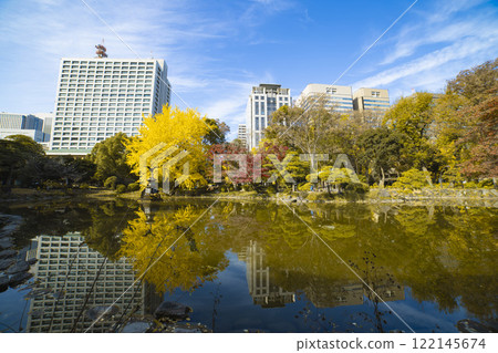 Yellow ginkgo trees at Kumogata Pond in Hibiya Park [Autumn image] 122145674