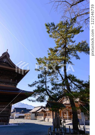 Takasago pine scenery: Aso Shrine, one of Japan's three largest tower gates. "Restoration completed after eight years of extensive damage from the Kumamoto earthquake" (Aso City) 122146739