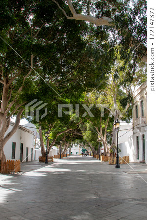 Street with big trees, Haria, Lanzarote, Spain Street with big trees, Haria, Lanzarote, Spain 122147372