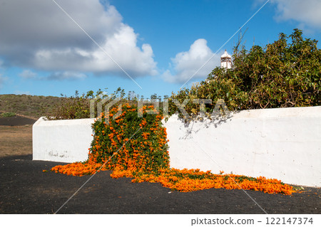 White wall with Pyrostegia Venusta, Lanzarote, Spain White wall with Pyrostegia Venusta, Lanzarote, Spain 122147374
