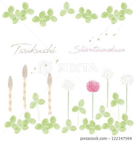 Horsetail and white clover hand-drawn watercolor illustration Horsetail and white clover hand-drawn watercolor illustration 122147569
