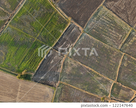 Green rice Fileds aerial view Thailand countryside 122147640