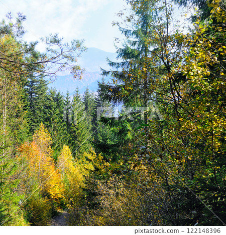 Colorful autumn landscape in the forest and bright Sun. Carpathian Mountains 122148396