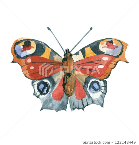 Peacock butterfly hand painted in watercolor and isolated on white background. Watercolor illustration. Suitable for printing on fabric, paper, for invitations and cards. 122148449