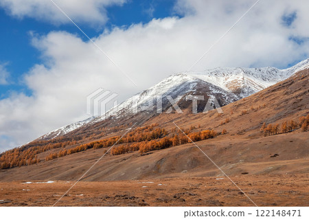 autumn landscape with yellow trees on sunlit snow hill autumn landscape with yellow trees on sunlit snow hill 122148471