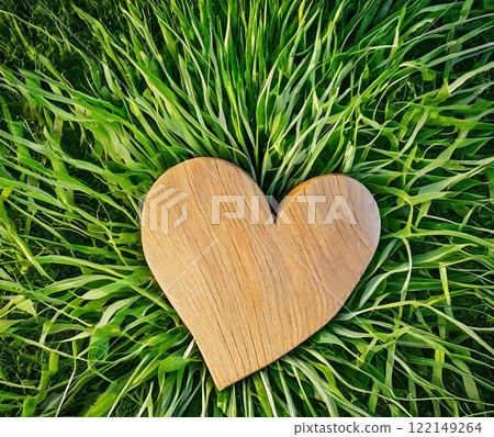 Wooden Heart on Green Grass Wooden Heart on Green Grass 122149264