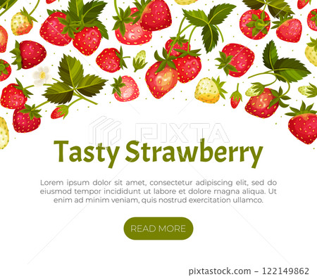 Sweet Strawberry Banner Design with Ripe Bright Berry Vector Template Sweet Strawberry Banner Design with Ripe Bright Berry Vector Template 122149862