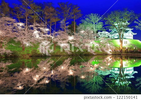 [Niigata Prefecture] Symmetrical cherry blossoms at Takada Castle in full bloom at night (Takada Castle Site Park Cherry Blossom Viewing Association) 122150141