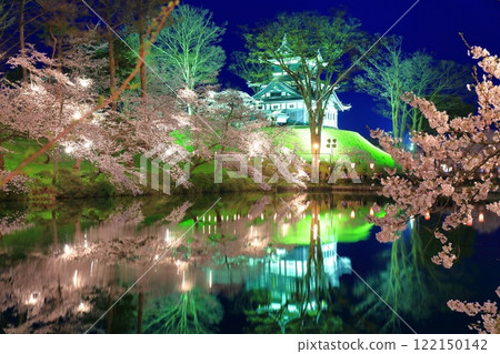 [Niigata Prefecture] Symmetrical cherry blossoms at Takada Castle in full bloom at night (Takada Castle Site Park Cherry Blossom Viewing Association) 122150142