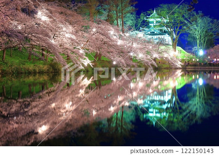 [Niigata Prefecture] Symmetrical cherry blossoms at Takada Castle in full bloom at night (Takada Castle Site Park Cherry Blossom Viewing Association) 122150143