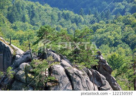Big old pine tree growing on rocky mountain top under blue sky on summer mountain view background 122150597