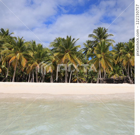Beautiful beach on Saona Island with white sand and blue sky on the background, Dominican Republic 122150757