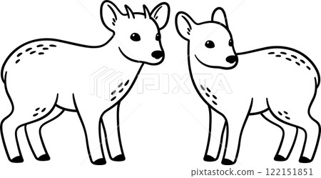 Male and female Pudu deer vector outline drawing 122151851