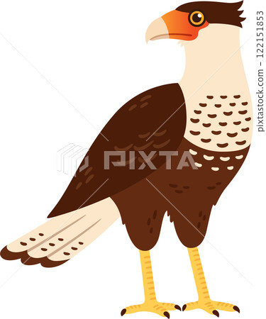 Crested Caracara (Traro, Carancho) bird illustration Crested Caracara (Traro, Carancho) bird illustration 122151853