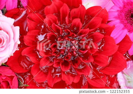 從真實的俯視角度拍攝的漂浮在水面上的彩色花朵的背景資料照片 122152355