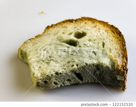 Mold on stale bread. The surface of moldy bread. Spoiled bread with mold. Mold on rotten bread. Top view 122152520