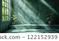 Room with concrete green walls and floor, potted plants and sun rays from a window 122152939