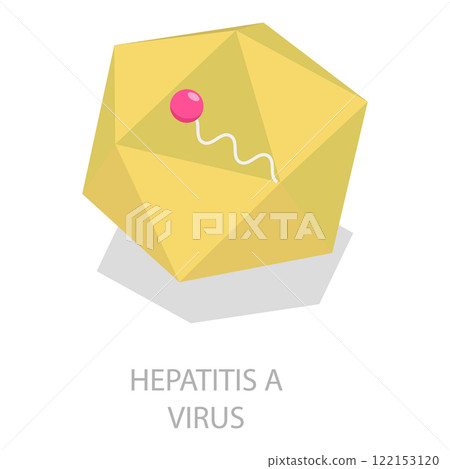 3D Isometric Flat Vector Illustration of Hepatitis Viruses, Liver Disease. Item 5 122153120