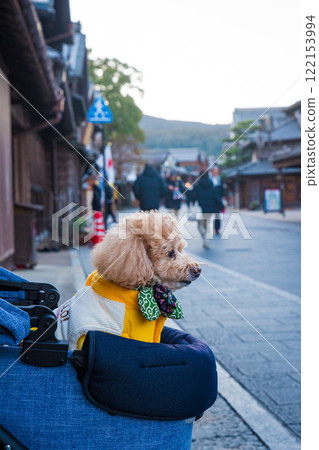 Stroll through Okage Yokocho Stroll through Okage Yokocho 122153994