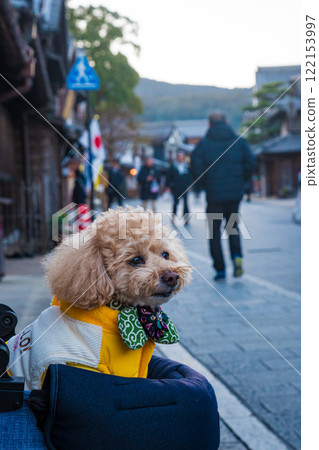 Stroll through Okage Yokocho Stroll through Okage Yokocho 122153997