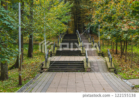 Fallen tree blocks park bench after hurricane winds uproot it Fallen tree blocks park bench after hurricane winds uproot it 122155138