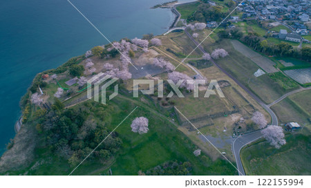 “櫻花”原城遺址 “櫻花”原城遺址 122155994