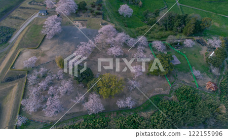 "Sakura" Hara Castle Ruins 122155996