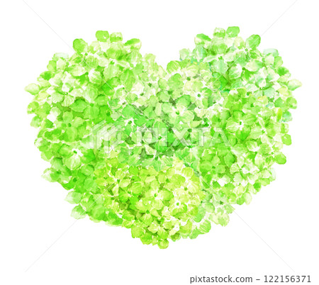 Watercolor green hydrangea heart 122156371