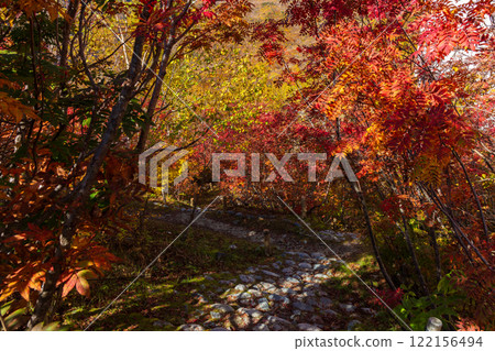 Tateyama Kurobe Alpine Route in Autumn Kurobedaira in Autumn Tateyama Kurobe Alpine Route in Autumn Kurobedaira in Autumn 122156494