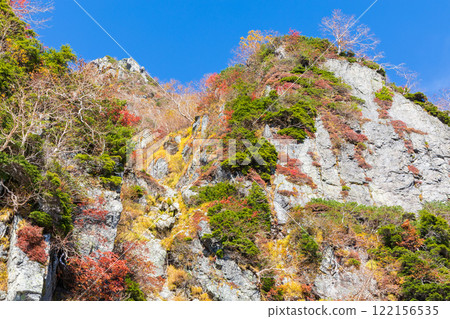 Autumn Tateyama Kurobe Alpine Route Daikanbo with autumn leaves Autumn Tateyama Kurobe Alpine Route Daikanbo with autumn leaves 122156535