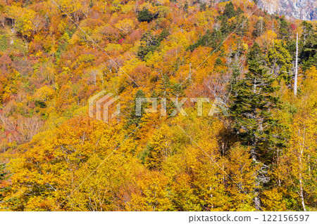 Tateyama Kurobe Alpine Route in Autumn Kurobedaira in Autumn 122156597