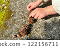 Autumn memories of a girl playing with nuts 122156711