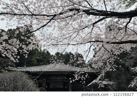 Flower clouds at Minomo Dainichido 122156827