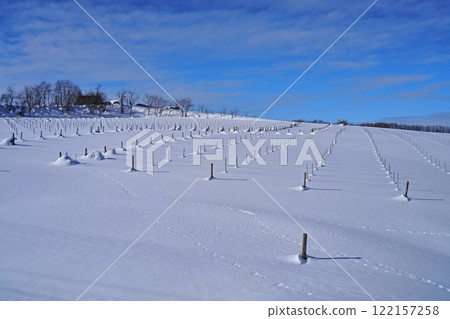 Snow Country Vineyards 122157258