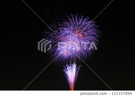 2011 Tamamura Fireworks Festival Starmine 122157994