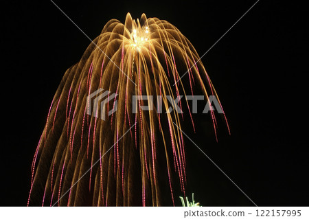 2011 Tamamura Fireworks Festival 10-inch shell - Tamamura Fireworks Festival 122157995