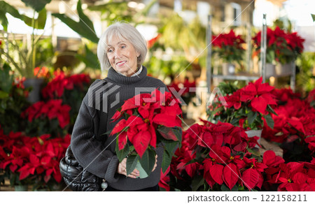 Mature woman choosing pots with Poinsettia Mature woman choosing pots with Poinsettia 122158211