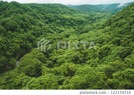 A mountain covered with fresh green A mountain covered with fresh green 122158310