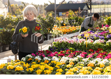 Elderly woman choosing primrose in the store 122158390