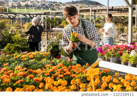 Employee holds a pot of calendula in his hands 122158411