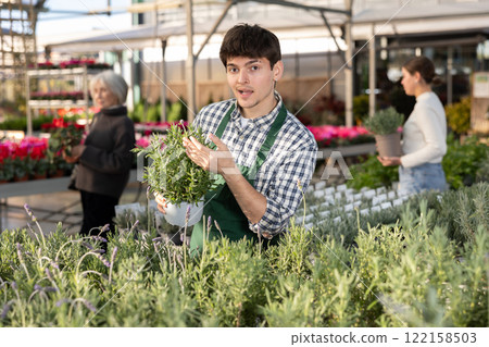 Worker inspecting lavender 122158503
