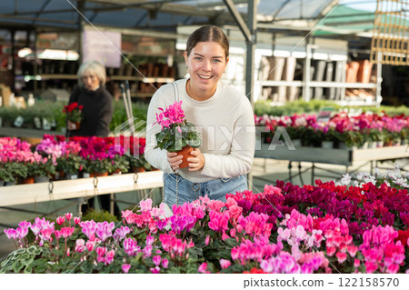 Woman chooses a cyclamen plant Woman chooses a cyclamen plant 122158570