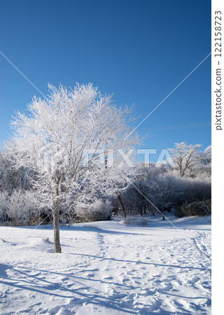 Rime and blue sky 122158723