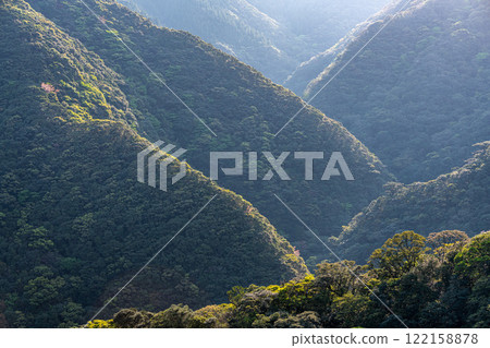 神明居住的屋久島，是阿爾卑斯山近海處一片新綠嫩葉的土地 122158878